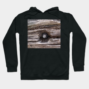 Hornsby Old Wooden beam Hoodie